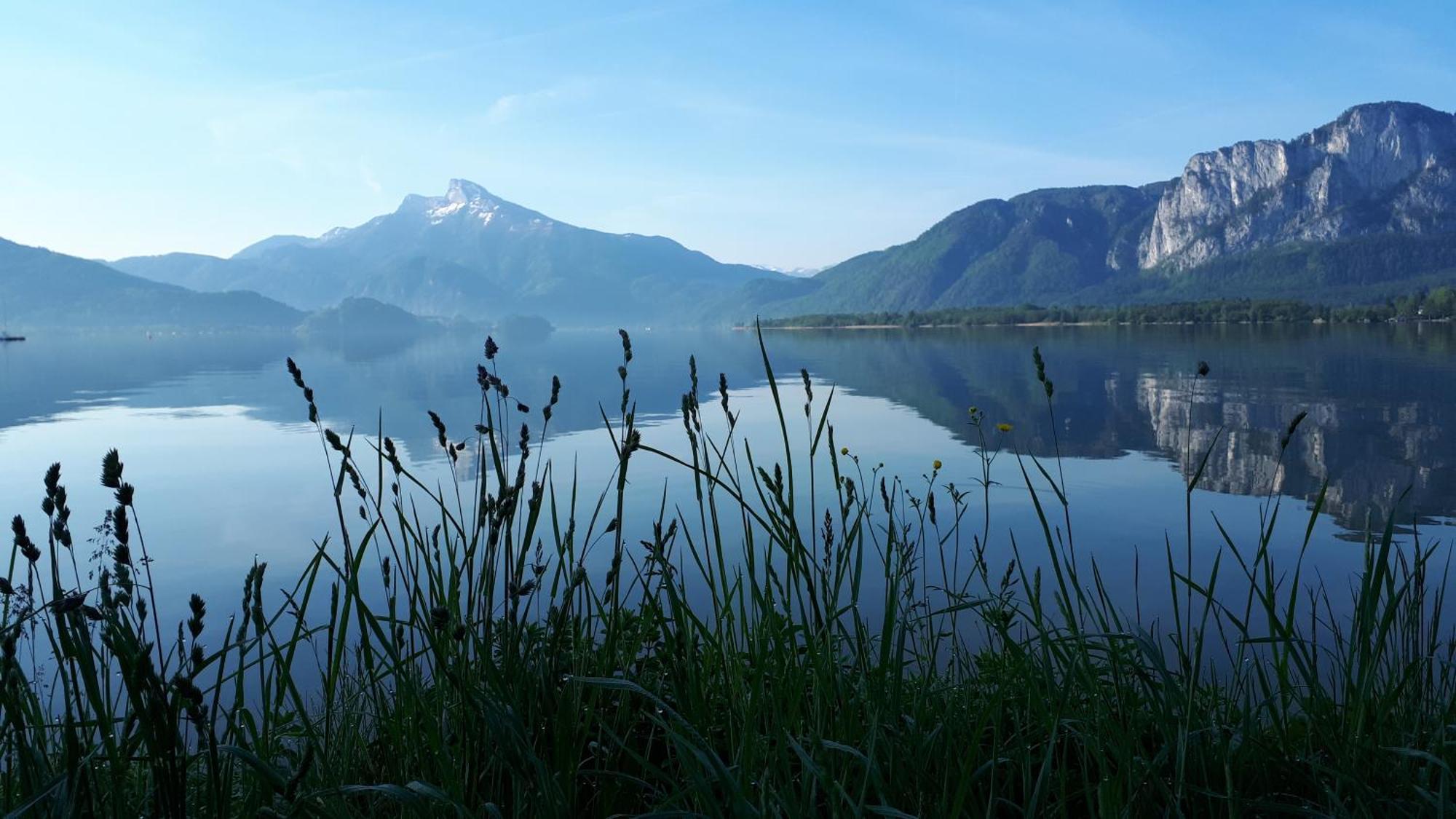 Bio Gesundheitshof Daxinger * Mondsee