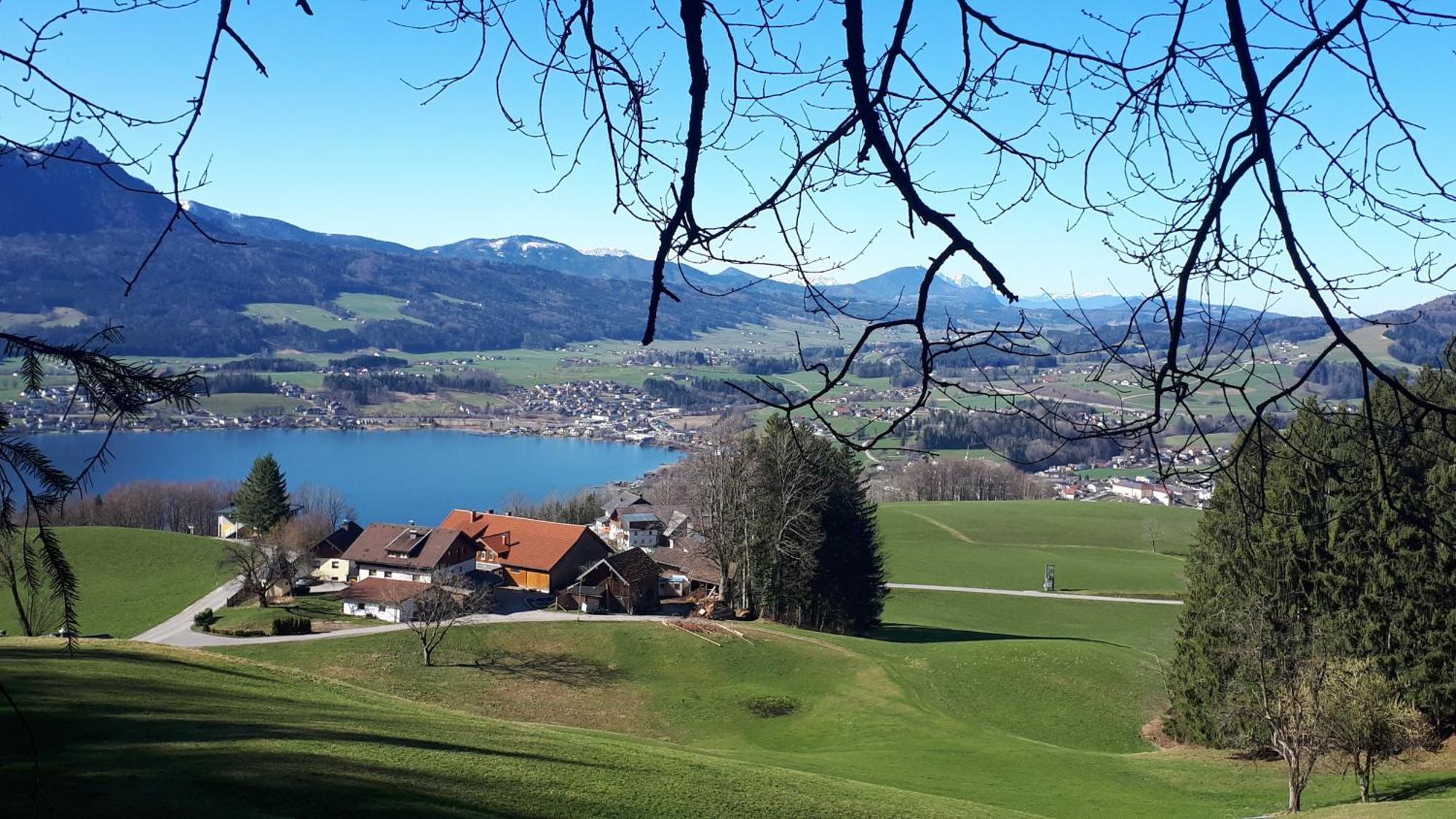 Bauernhof Gesundheitshof Daxinger Biobauernhof *